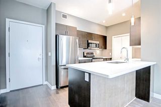Photo 5: 206 10 Auburn Bay Link SE in Calgary: Auburn Bay Apartment for sale : MLS®# A2130822