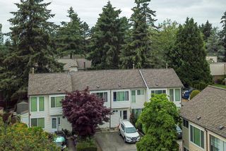 Photo 35: 61 9386 128 Street in Surrey: Queen Mary Park Surrey Townhouse for sale in "SURREY MEADOWS" : MLS®# R2705371