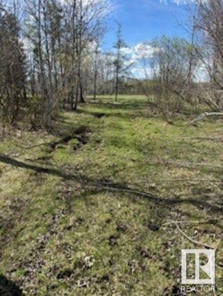 Photo 11: Twp Rd 572 & Rge Rd 225: Rural Sturgeon County Vacant Lot/Land for sale : MLS®# E4387116