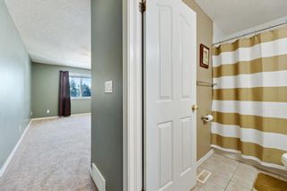 Photo 22: 331 19 Street NE in Calgary: Mayland Heights Detached for sale : MLS®# A2011674