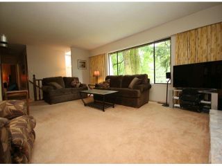 Photo 5: 10540 SUNCREST Drive in Delta: Nordel House for sale (N. Delta)  : MLS®# F1414167