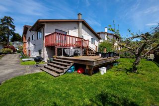 Photo 22: 4242 Panorama Dr in Saanich: SE Lake Hill House for sale (Saanich East)  : MLS®# 903707