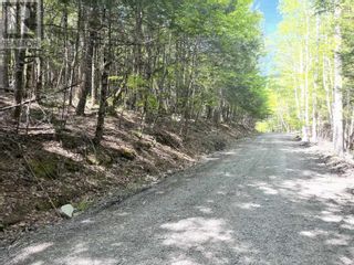 Photo 2: Lot 36 Beaver Dam Crossover in Labelle: Vacant Land for sale : MLS®# 202311296