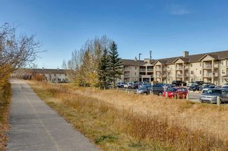 Photo 28: 219 3000 Citadel Meadow Point NW in Calgary: Citadel Apartment for sale : MLS®# A2130196
