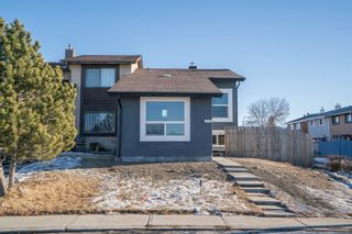 Photo 34: 2716 66 Street NE in Calgary: Pineridge Semi Detached (Half Duplex) for sale : MLS®# A2020775