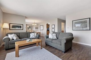 Photo 3: 20505 DENIZA Avenue in Maple Ridge: Southwest Maple Ridge House for sale : MLS®# R2482034