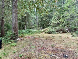 Photo 18: 700 Whaletown Rd in Whaletown: Isl Cortes Island Land for sale (Islands)  : MLS®# 942870