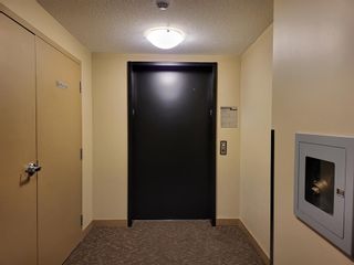 Photo 19: 1216 81 Legacy Boulevard SE in Calgary: Legacy Apartment for sale : MLS®# A2009155