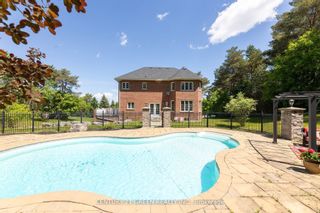 Photo 36: 10 Pine Hills Court in East Gwillimbury: Rural East Gwillimbury House (2-Storey) for sale : MLS®# N8444034