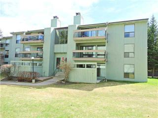 Main Photo: 324 10120 Brookpark Boulevard SW in Calgary: Braeside Apartment for sale : MLS®# A2106479