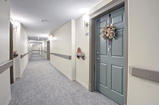 Photo 29: 1317 48 Inverness Gate SE in Calgary: McKenzie Towne Apartment for sale : MLS®# A2007487