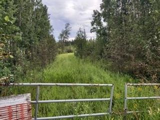 Photo 5: 41121 Range Road 40.5: Rural Lacombe County Agriculture for sale : MLS®# A2036209