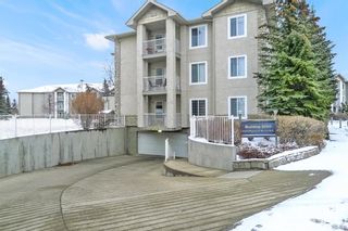Photo 11: 3123 6818 Pinecliff Grove NE in Calgary: Pineridge Apartment for sale : MLS®# A2019755