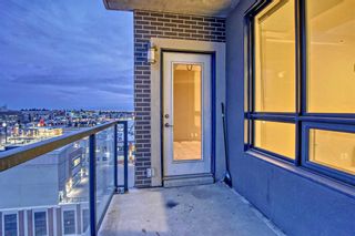 Photo 20: 1211 8880 Horton Road SW in Calgary: Haysboro Apartment for sale : MLS®# A2096338