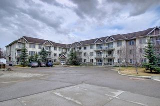 Photo 37: 2206 5200 44 Avenue NE in Calgary: Whitehorn Apartment for sale : MLS®# A1210439