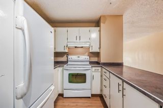 Photo 7: 206 659 4 Avenue NE in Calgary: Bridgeland/Riverside Apartment for sale : MLS®# A2044851