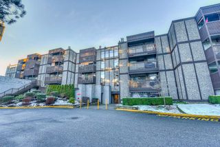 Photo 20: 502 9672 134 Street in Surrey: Whalley Condo for sale in "Parkswood (Dogwood Building)" (North Surrey)  : MLS®# R2230294