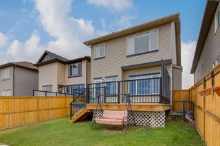 Photo 29: 260 Nolanfield Way NW in Calgary: Nolan Hill Detached for sale : MLS®# A2130154