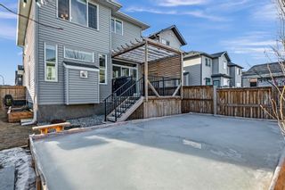 Photo 38: 6 Nolancrest Rise NW in Calgary: Nolan Hill Detached for sale : MLS®# A1180425