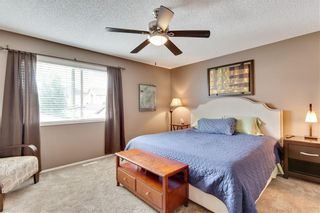 Photo 16: 955 PRESTWICK Circle SE in Calgary: McKenzie Towne Detached for sale : MLS®# C4257598