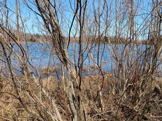 Photo 9: Lot 20 Lakeside Drive in Little Harbour: 108-Rural Pictou County Vacant Land for sale (Northern Region)  : MLS®# 202304930