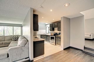 Photo 19: 68 Bermondsey Way NW in Calgary: Beddington Heights Detached for sale : MLS®# A1152009