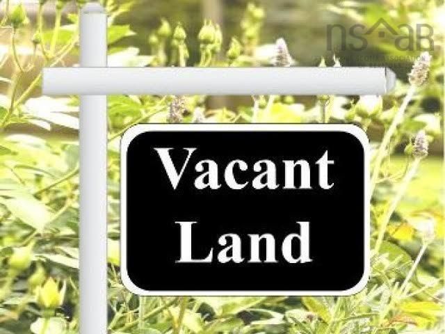 Main Photo: Lot 1 Stewiacke Road in Lanesville: 104-Truro / Bible Hill Vacant Land for sale (Northern Region)  : MLS®# 202313302