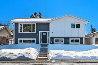 Photo 1: 99 Allandale Close SE in Calgary: Acadia Detached for sale : MLS®# A2034582