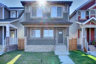 Photo 47: 41 Legacy Glen Row SE in Calgary: Legacy Detached for sale : MLS®# A2003471