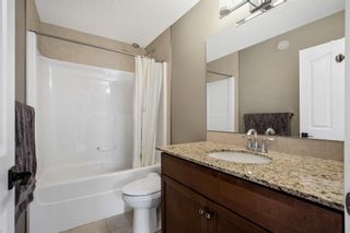Photo 30: 161 Chaparral Valley Mews SE in Calgary: Chaparral Detached for sale : MLS®# A2000340