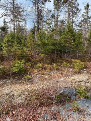 Photo 1: Lot 109 337 Toni Drive in Boutiliers Point: 40-Timberlea, Prospect, St. Marg Vacant Land for sale (Halifax-Dartmouth)  : MLS®# 202406861