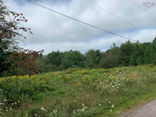 Photo 2: Highway 4 in Linacy: 108-Rural Pictou County Vacant Land for sale (Northern Region)  : MLS®# 202205235