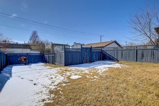 Photo 37: 15 Falsby Way NE in Calgary: Falconridge Detached for sale : MLS®# A1185664
