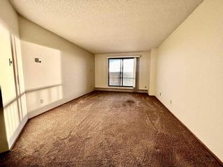 Photo 8: 805 5204 Dalton Drive NW in Calgary: Dalhousie Apartment for sale : MLS®# A2092757