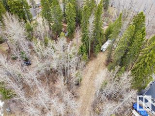 Photo 19: 22 Lakeshore Drive Greystones: Rural Wetaskiwin County Rural Land/Vacant Lot for sale : MLS®# E4291248
