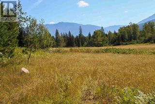 Photo 26: 2524 Enderby Mabel Lake Road in Enderby: Vacant Land for sale : MLS®# 10310628