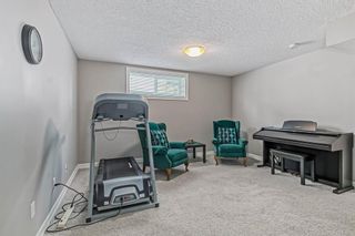 Photo 29: 15 133 Copperpond Heights SE in Calgary: Copperfield Row/Townhouse for sale : MLS®# A2029612