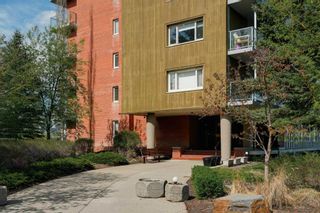 Photo 24: 402 3204 Rideau Place SW in Calgary: Rideau Park Apartment for sale : MLS®# A2132313