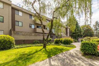 Photo 24: 24 2440 WILSON Avenue in Port Coquitlam: Central Pt Coquitlam Condo for sale in "Orchard Valley Estates" : MLS®# R2455205