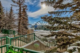 Photo 40: 101 15204 Bannister Road SE in Calgary: Midnapore Apartment for sale : MLS®# A2018133