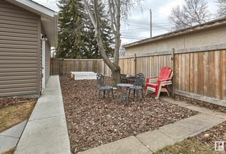 Photo 39: 10951 62 Avenue in Edmonton: Zone 15 House for sale : MLS®# E4383871