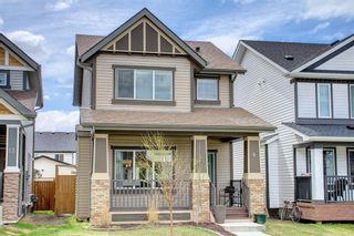 Photo 2: 9 Copperpond Avenue SE in Calgary: Copperfield Detached for sale : MLS®# A1232271