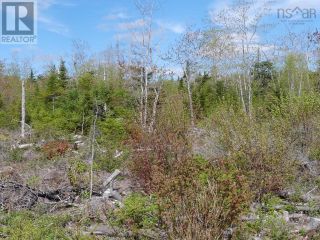 Photo 1: Lot 12 Golden Horizon Drive in South West Port Mouton: Vacant Land for sale : MLS®# 202218662