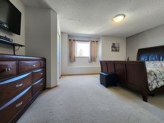Photo 19: 456 De La Seigneurie Boulevard in Winnipeg: Island Lakes Residential for sale (2J)  : MLS®# 202308477