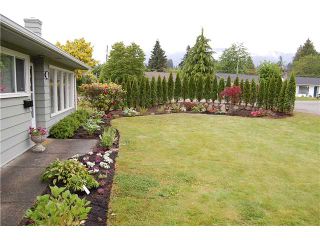 Photo 2: 1397 COTTONWOOD in North Vancouver: Norgate House for sale in "Norgate" : MLS®# V864616