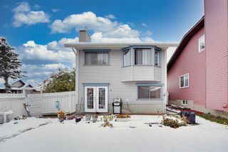 Photo 49: 4 Martingrove Mews NE in Calgary: Martindale Detached for sale : MLS®# A2013278
