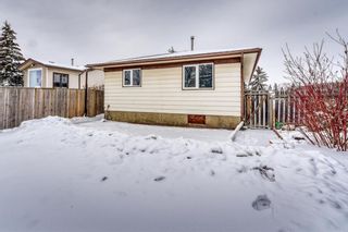Photo 34: 79 Abalone Way NE in Calgary: Abbeydale Detached for sale : MLS®# A2032204