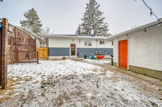 Photo 29: 48 Fawn Crescent SE in Calgary: Fairview Detached for sale : MLS®# A1189897