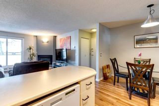 Photo 11: 11 2411 Edenwold Heights NW in Calgary: Edgemont Apartment for sale : MLS®# A2033813