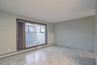 Photo 3: 101 817 5 Street NE in Calgary: Renfrew Apartment for sale : MLS®# A1173709